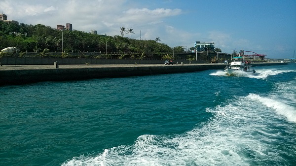 花莲出海赏鲸豚