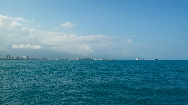 花莲出海赏鲸豚